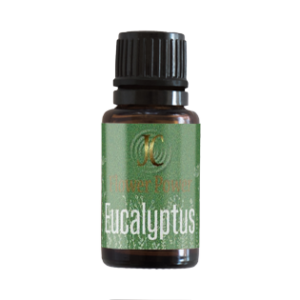 Eucalyptus